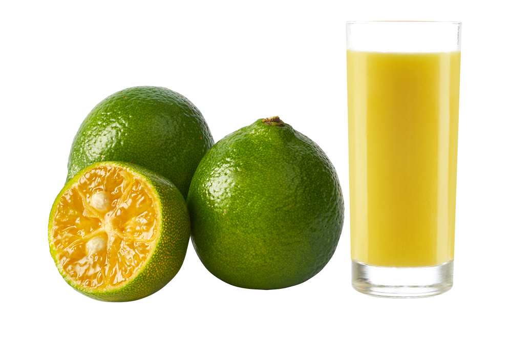 1706063818383671.jpg 44.jpg